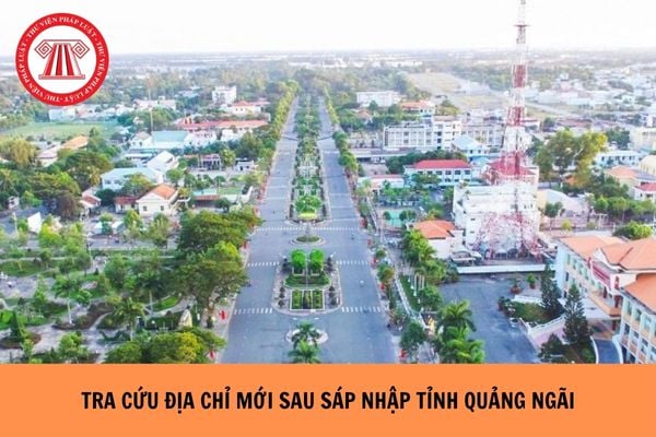 Hỏi đáp Pháp luật