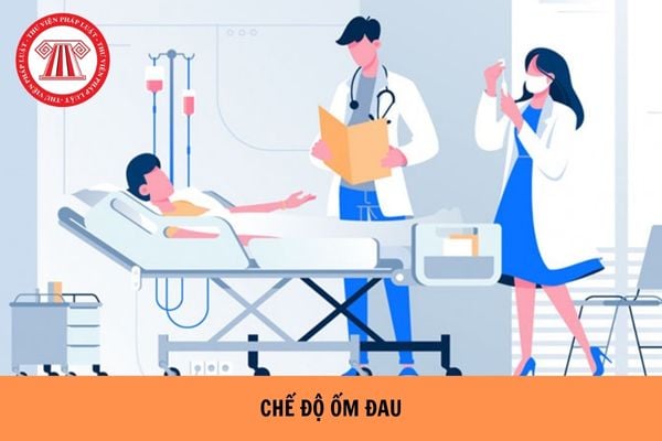 Hỏi đáp Pháp luật