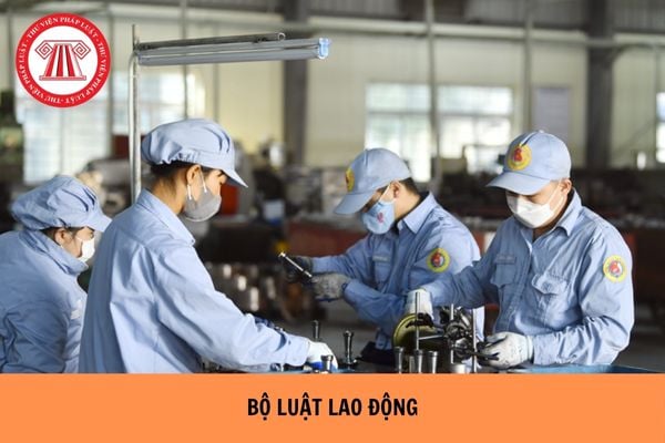 Bộ luật Lao động có bao nhiêu chương bao nhiêu điều?
