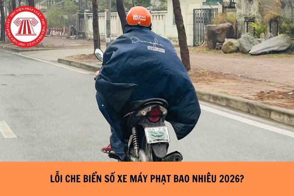 Hỏi đáp Pháp luật