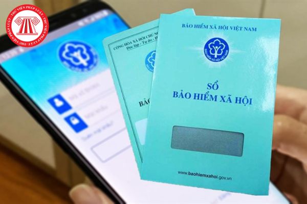 Hỏi đáp Pháp luật