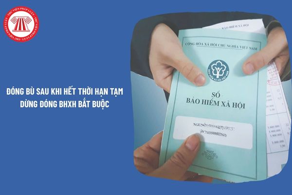 Hỏi đáp Pháp luật