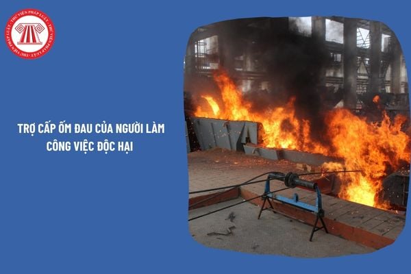 Hỏi đáp Pháp luật