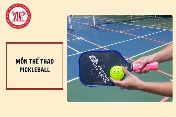  Môn thể thao Pickleball là môn gì? Nội dung quản lý nhà nước về thể dục thể thao hiện nay được quy định như thế nào?