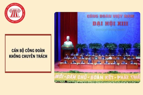 Cán bộ công đoàn không chuyên trách bao gồm những ai? Việc đảm điều kiện hoạt động công đoàn được thể hiện như thế nào?