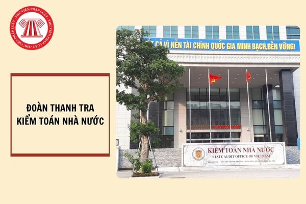 Đoàn thanh tra Kiểm toán Nhà nước giải thể khi nào? Nguyên tắc hoạt động của Đoàn thanh tra Kiểm toán Nhà nước?