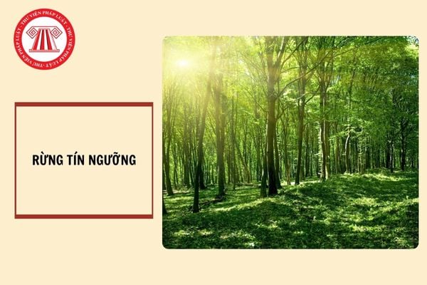 Rừng tín ngưỡng là gì? Cộng đồng dân cư được giao rừng tín ngưỡng có những quyền nào?