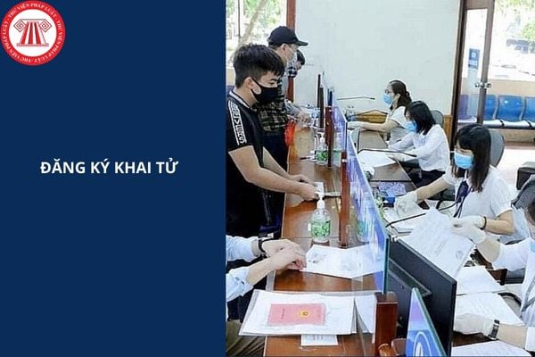 Hỏi đáp Pháp luật