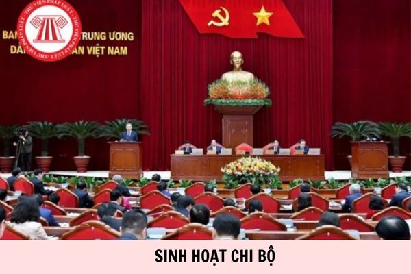 Hỏi đáp Pháp luật