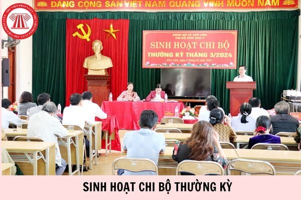 Hỏi đáp Pháp luật