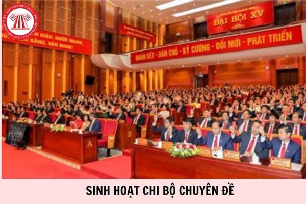 Hỏi đáp Pháp luật