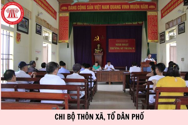 Hỏi đáp Pháp luật