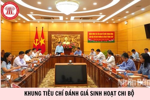 Hỏi đáp Pháp luật