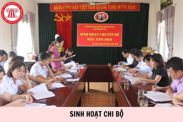 Hỏi đáp Pháp luật