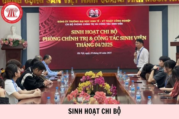 Hỏi đáp Pháp luật