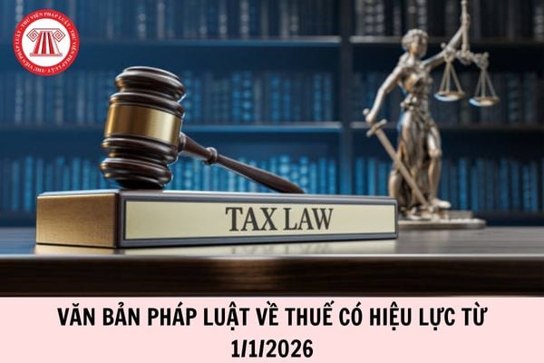 Hỏi đáp Pháp luật