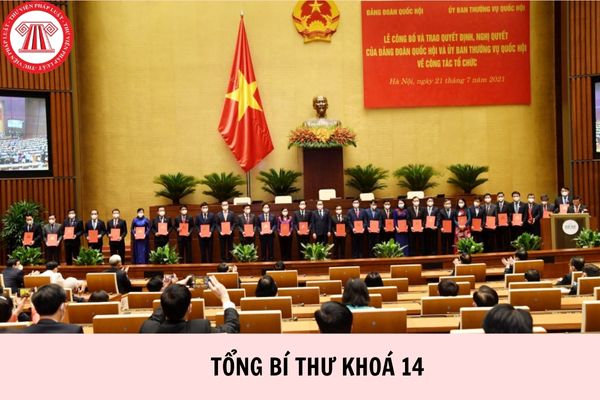 Hỏi đáp Pháp luật