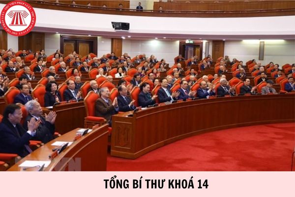 Hỏi đáp Pháp luật