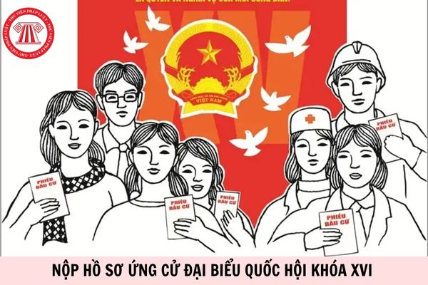 Hỏi đáp Pháp luật