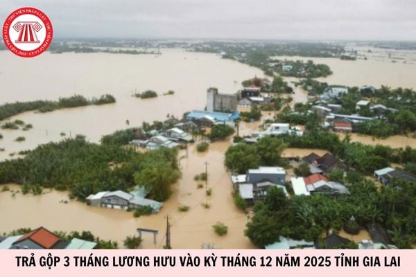 Hỏi đáp Pháp luật