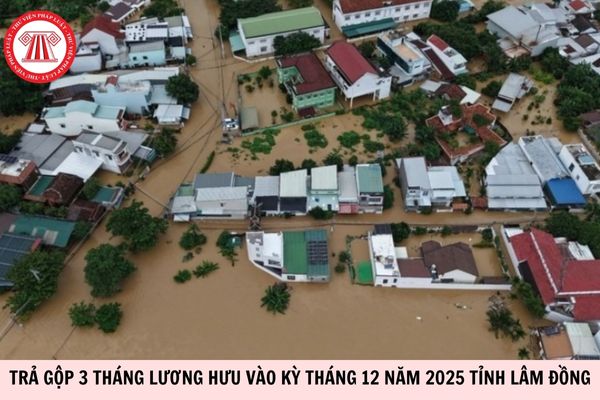 Hỏi đáp Pháp luật