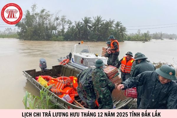 Hỏi đáp Pháp luật