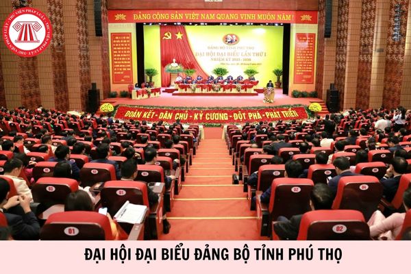 Hỏi đáp Pháp luật