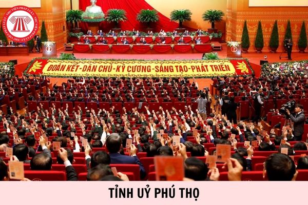 Hỏi đáp Pháp luật
