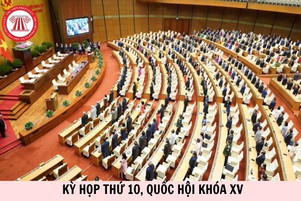 Hỏi đáp Pháp luật
