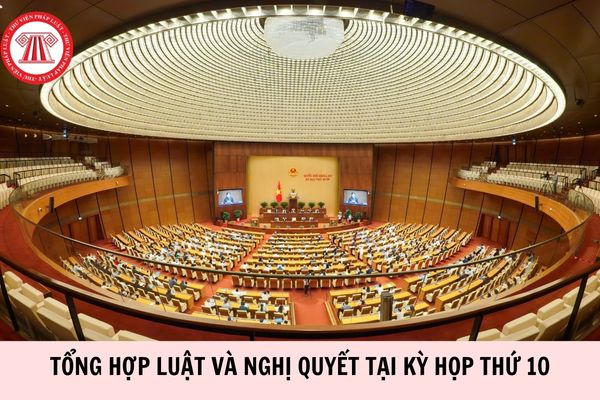 Hỏi đáp Pháp luật