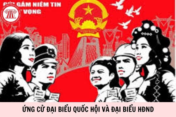 Hỏi đáp Pháp luật