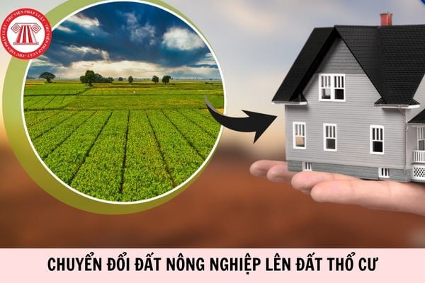 Từ 1/1/2026, mức tiền chuyển đổi đất nông nghiệp lên đất thổ cư là bao nhiêu?