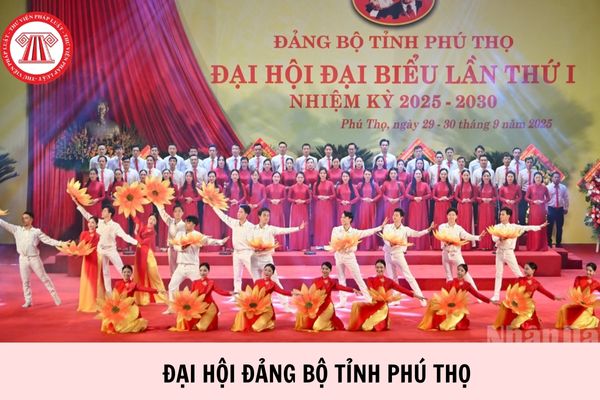 Hỏi đáp Pháp luật
