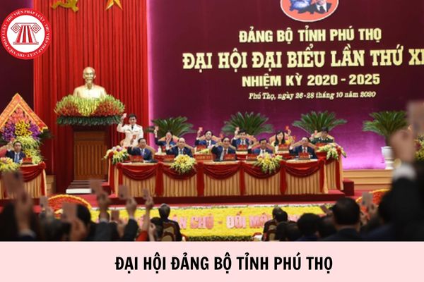 Hỏi đáp Pháp luật