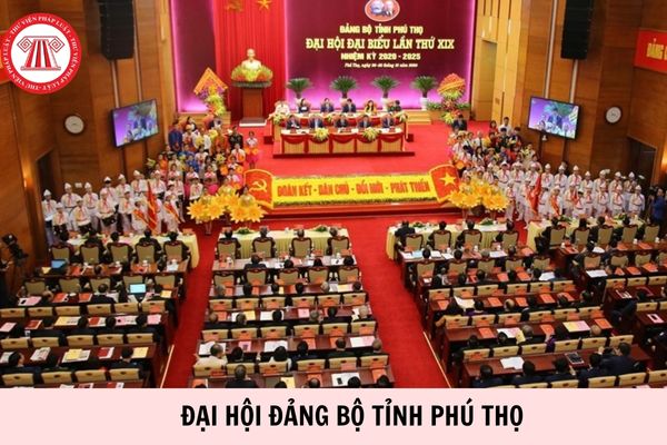 Hỏi đáp Pháp luật