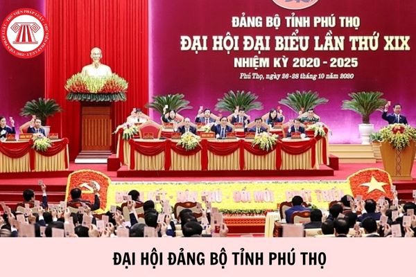 Hỏi đáp Pháp luật