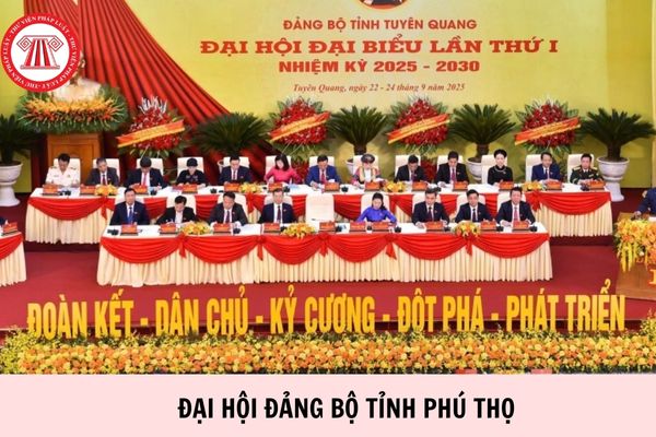 Hỏi đáp Pháp luật