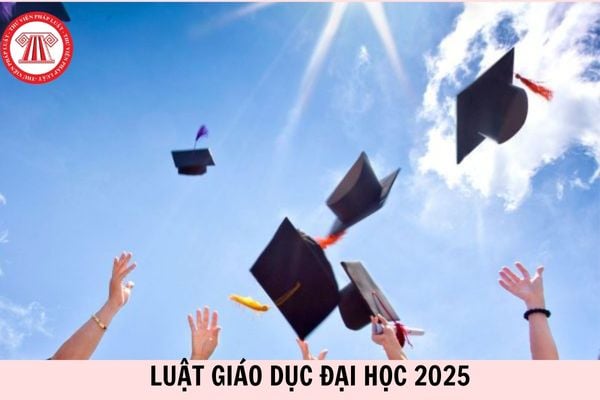Toàn văn Luật Giáo dục đại học 2025 Luật số 125/2025/QH15 chi tiết như thế nào?