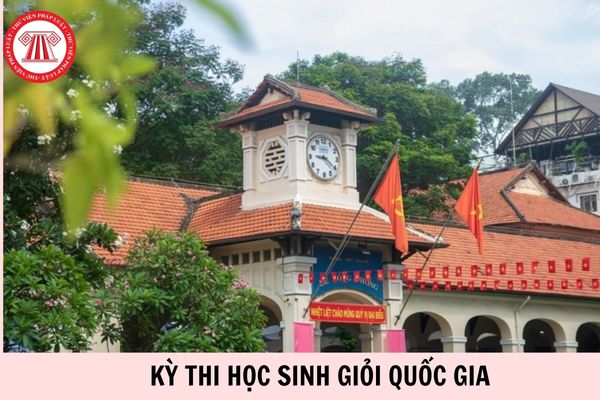 Hỏi đáp Pháp luật