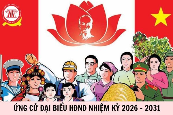 Hỏi đáp Pháp luật