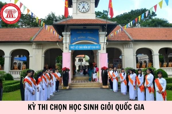 Hỏi đáp Pháp luật