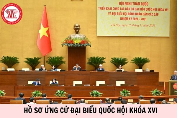 Hỏi đáp Pháp luật