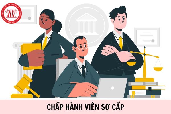 Hỏi đáp Pháp luật