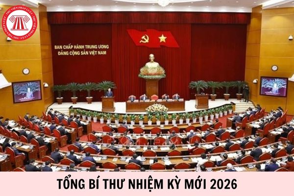 Hỏi đáp Pháp luật