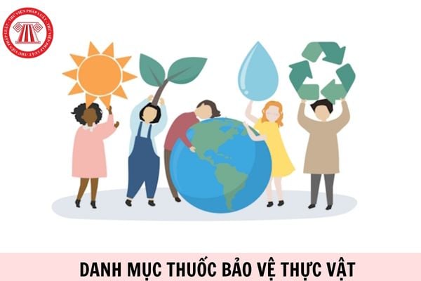 Danh mục thuốc bảo vệ thực vật được phép sử dụng tại Việt Nam từ 10/2/2026 thế nào?