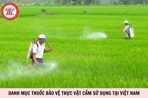 Hỏi đáp Pháp luật