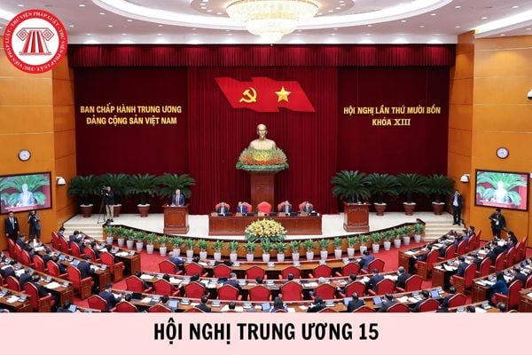 Hỏi đáp Pháp luật