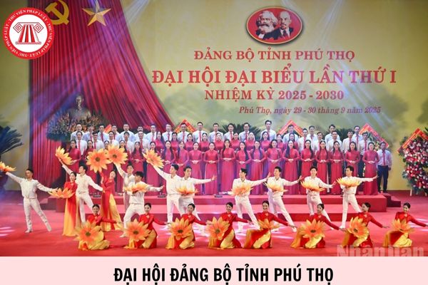 Hỏi đáp Pháp luật