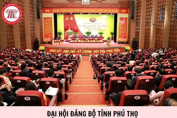 Hỏi đáp Pháp luật