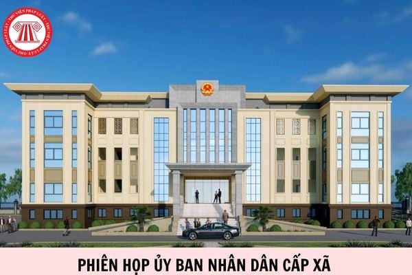 Hỏi đáp Pháp luật